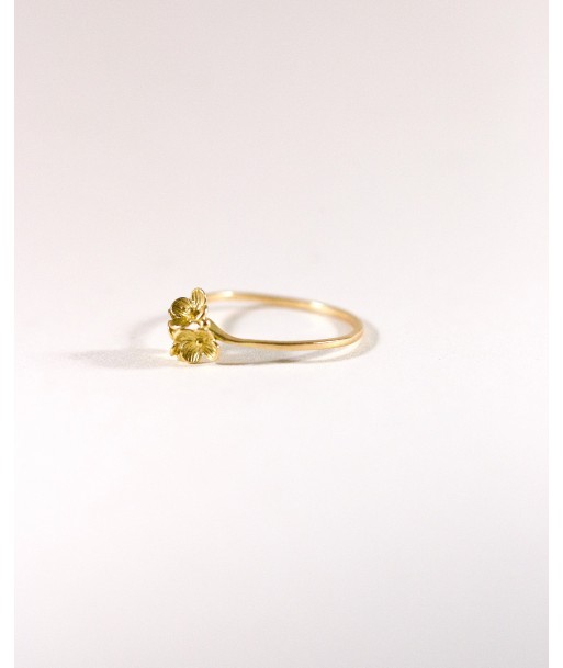 Bague Fleurettes ouvre sa boutique