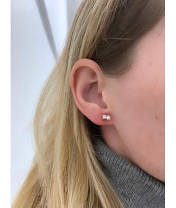 Puces d'Oreilles Accolade En savoir plus