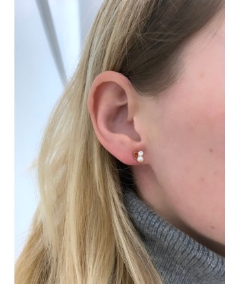 Puces d'Oreilles Accolade En savoir plus