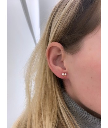 Puces d'Oreilles Accolade En savoir plus