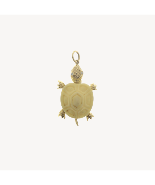 Charm Tortue Os les muscles