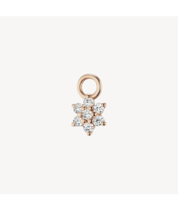 Charm Diamond Flower Or Rose shop