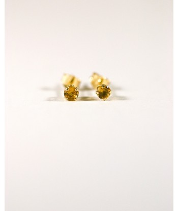 Puces d'oreilles Citrine d'Europe débarque