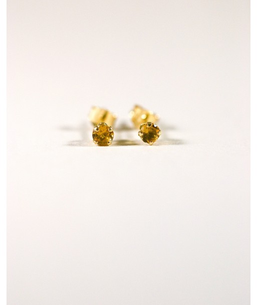 Puces d'oreilles Citrine d'Europe débarque